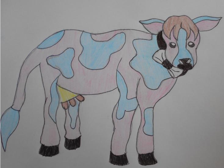 adoptable cow