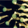 Closeup of hair brush