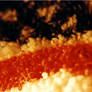 Close up of a towel
