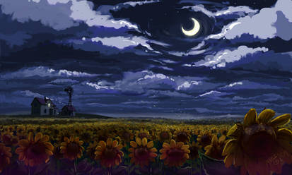 The sunflower field 2