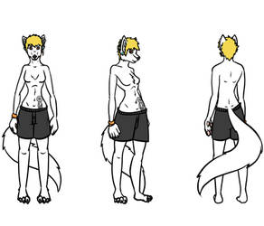 Ref. Sheet no background