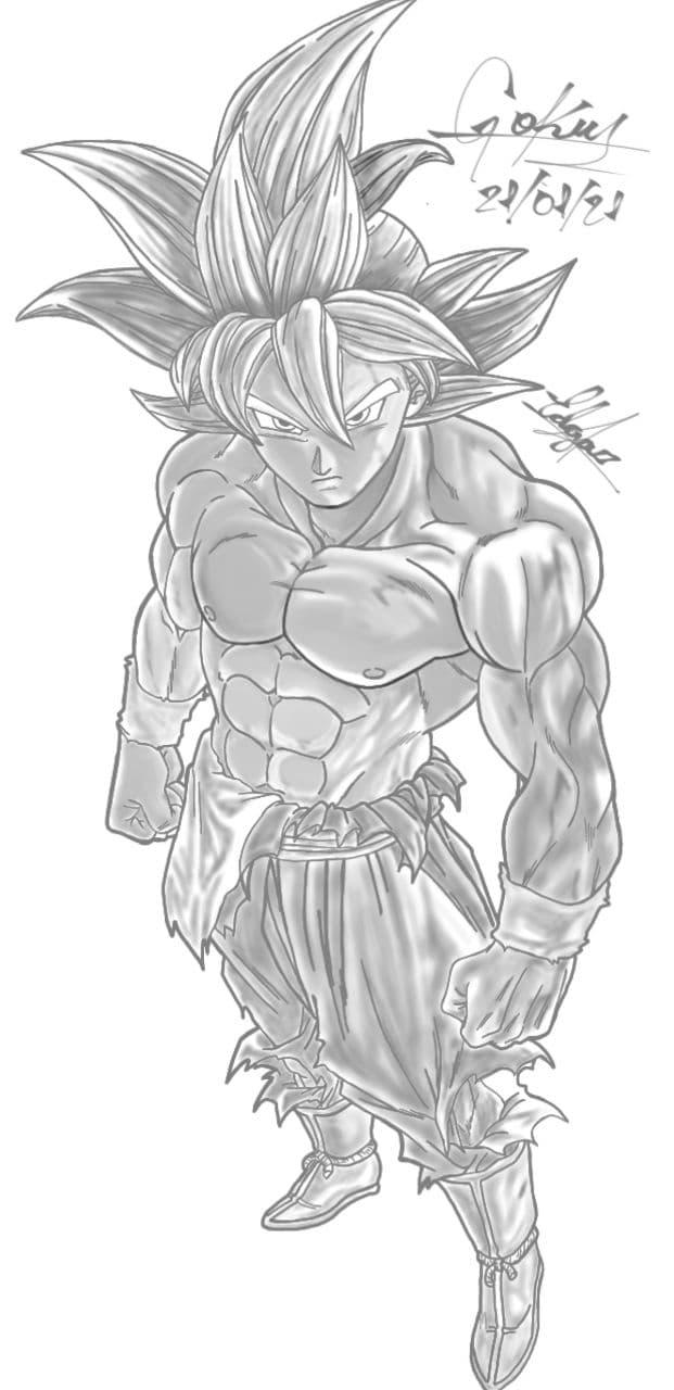 Alexbii Goku ultra instinto perfecto by AlexBii95 on DeviantArt