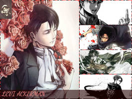 Levi Ackerman-snk by Mrcollections