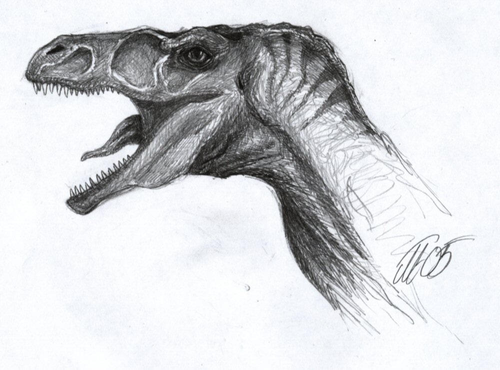 Raptor by Demondes on DeviantArt