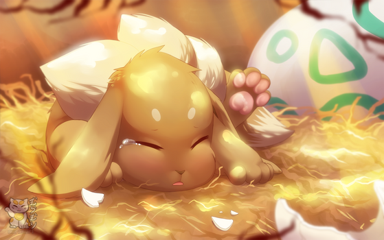 Baby Eevee~!