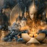 The Awakening of the Inner City