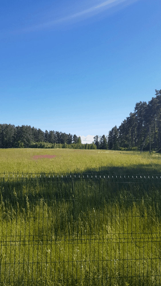 JUGLA Landscape by SuPARandomWolf on DeviantArt