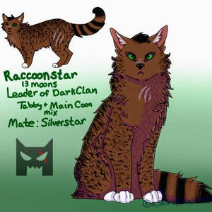 Raccoonstar updated ref