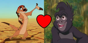 Timon X Terk