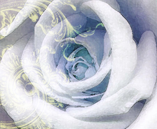 Soft Victorian Blue Rose