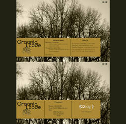 Organic (WebSite Template Design)