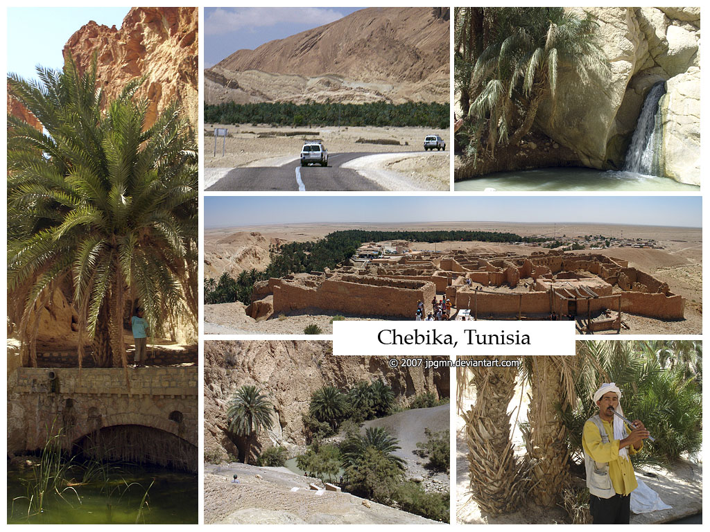 Postcard - Chebika, Tunisia