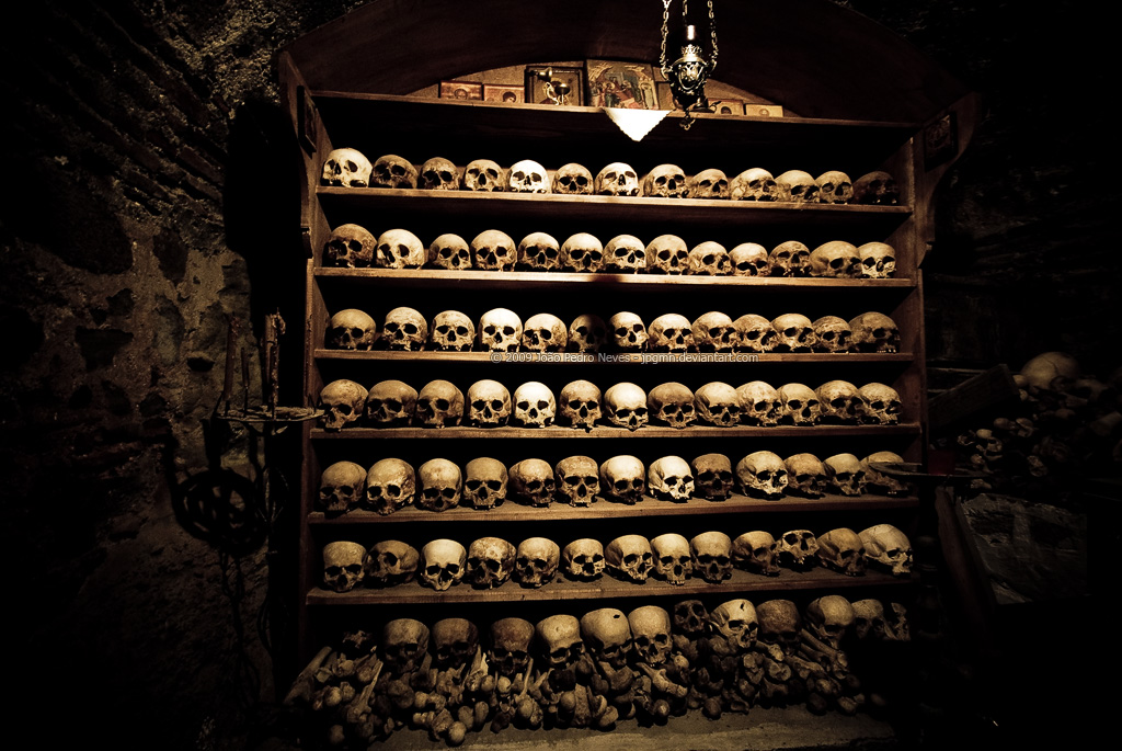 Skulls On The Shelves