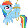 rainbow dash all tied up