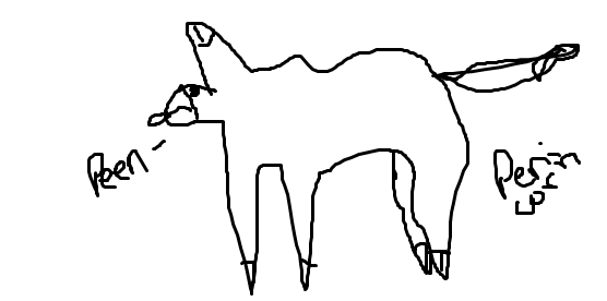 WHAT I FIND ON MY NETBOOK. A PENICORN.