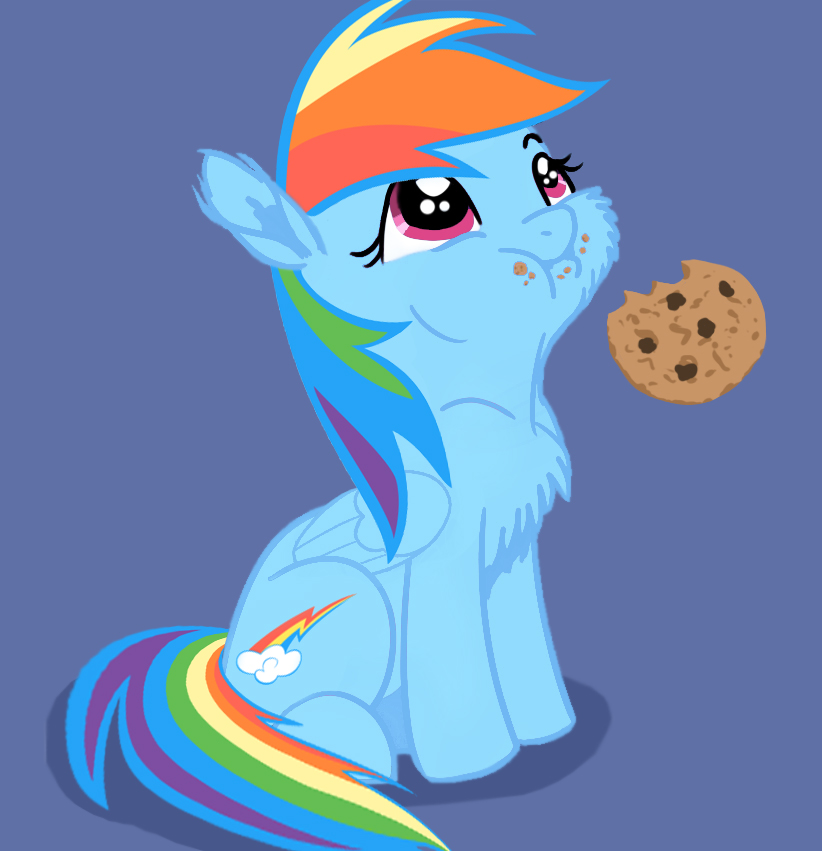 Dashie with cookie