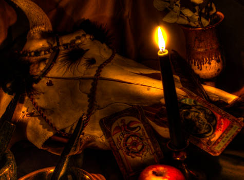 Skull and Tarot