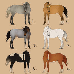 Arab Horse Adopts: 100 pts - 3/6