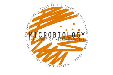 Microbiology design 2013