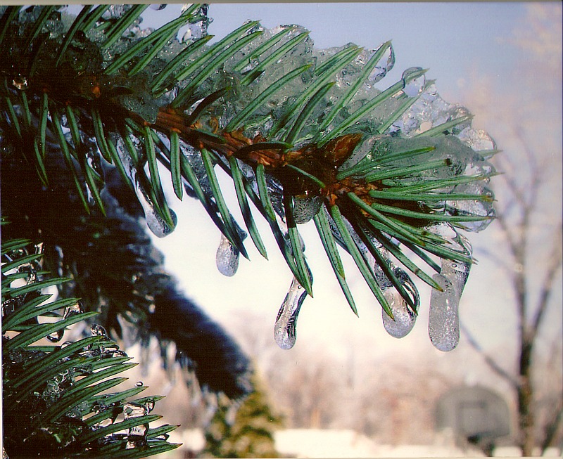 Ice Formation