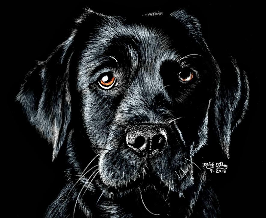 Black Lab Deviantart Black Lab 2 by marmicminipark on DeviantArt
