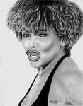 Tina Turner by marmicminipark