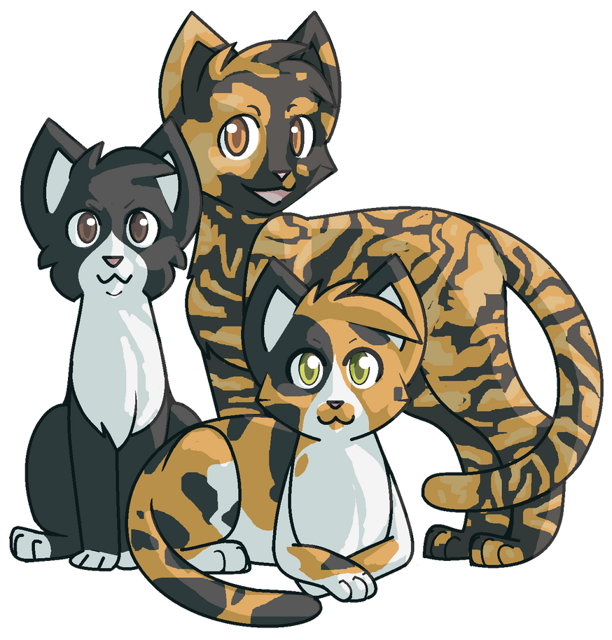 Top 3 Favorite Cat Colorations by blazinqmoon on DeviantArt