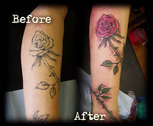 Freehand cover up