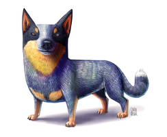 ACD