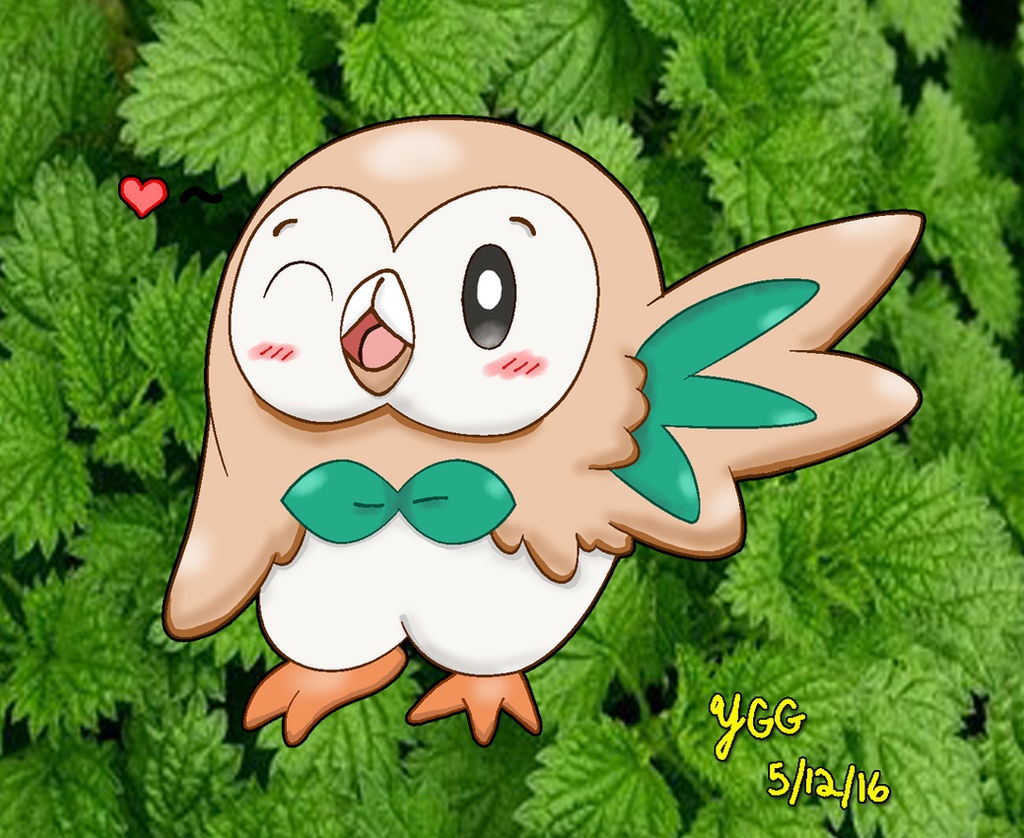 Rowlet loves you!