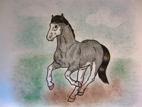 Quandarius Deviantart Commission for Quantaria by walktrotcanter7 on DeviantArt