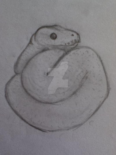 Royal Python by WendigoPython on DeviantArt