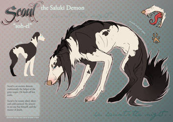 Saluki-char