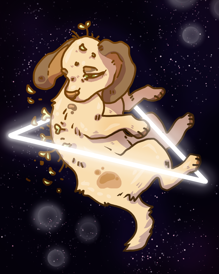 Spacedog