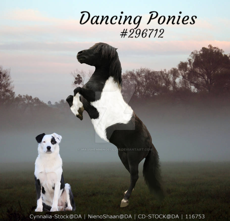Dancing ponies.2