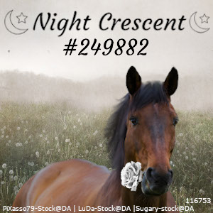 Nightcrescent Avi