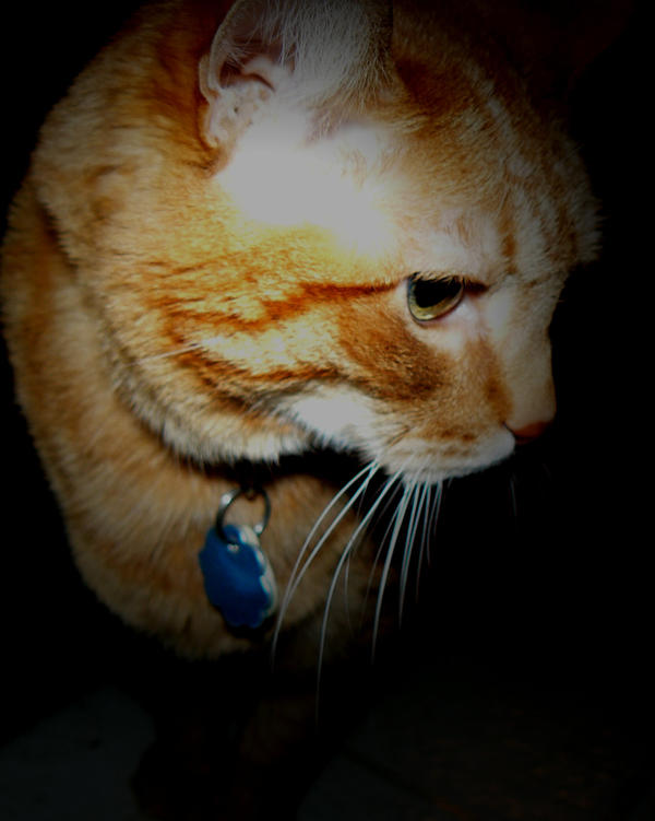 edacious by CcarenJjoy on DeviantArt