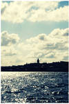 Bosphorus view from a ferry by lagattapiccola