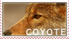Coyote Stamp by Jingle-the-Hamster