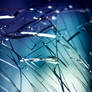 Broken Glass Texture.