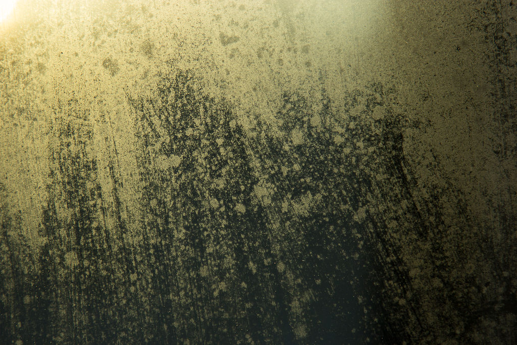 Cold November Texture. by galaxiesanddust Cold November Texture. by galaxiesanddust