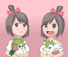 Twins With Shaymin forme