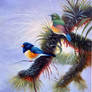 The Tailorbirds - Arteet