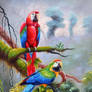 Scarlet Macaws - Arteet