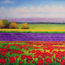 Lavender and Poppy Fields - Arteet