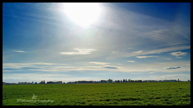 Country Landscape