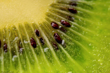 Kiwi I