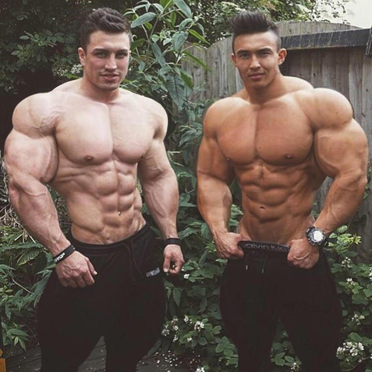 Bodybuilder Bro Muscle brothers by Jimmuscle on DeviantArt
