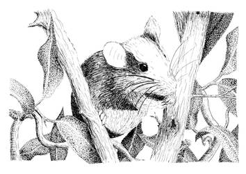 Mouse in branches