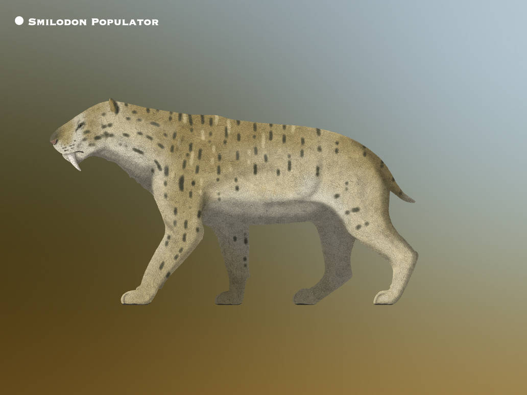 smilodon Populator @paleohistoric by PaleoHistoric on DeviantArt